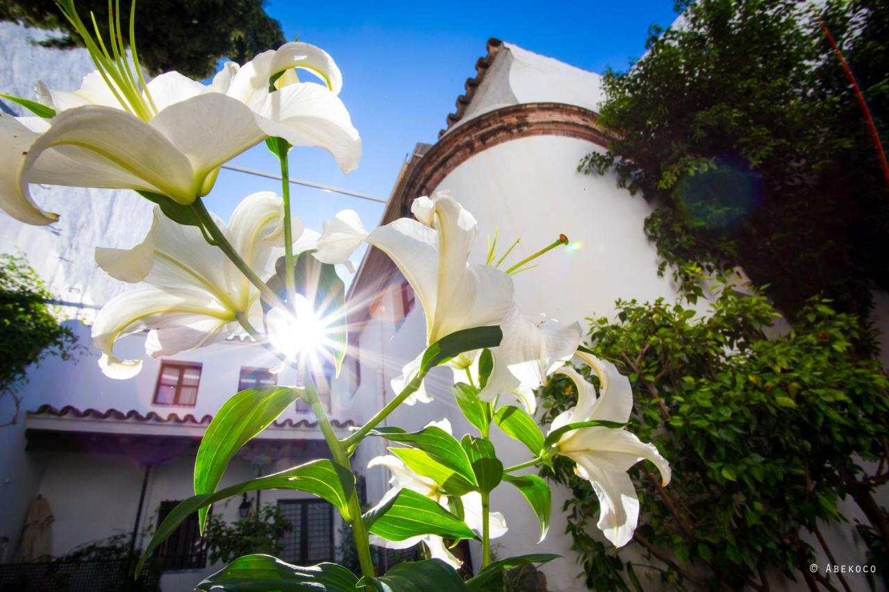 Вилла Casa Del Siglo XVII Севилья Экстерьер фото